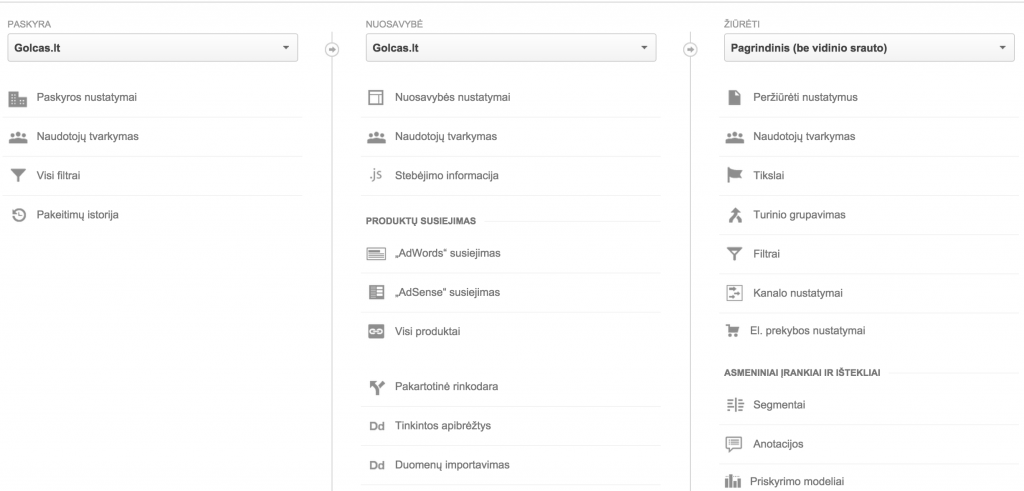 analytics administratorius