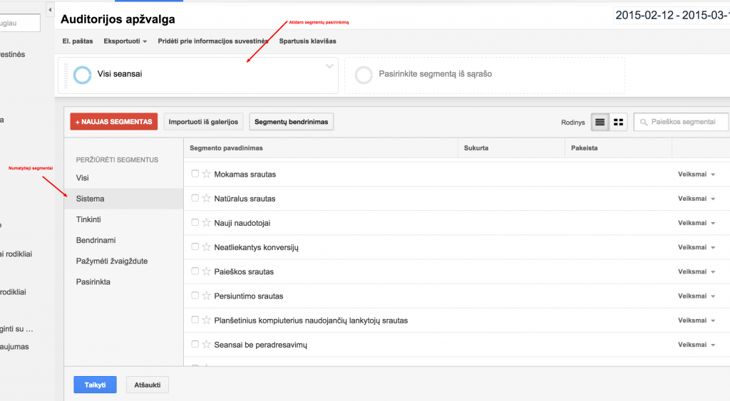 Auditorijos apžvalga Google Analytics